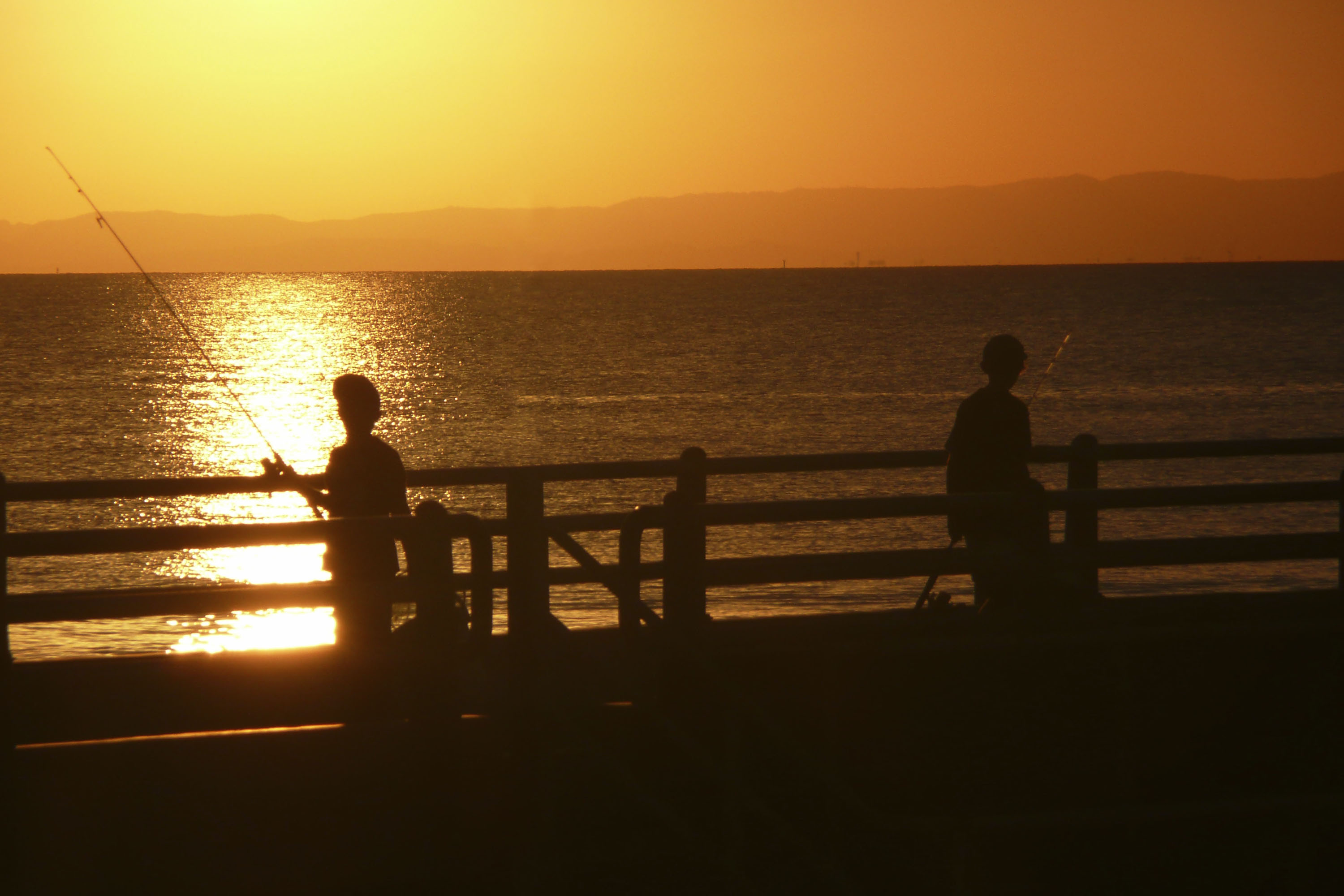 Activities on Tangalooma 3 Tangalooma is packed with activities for families for your holidays and Banyandah Waters is perfect for holiday accommodation