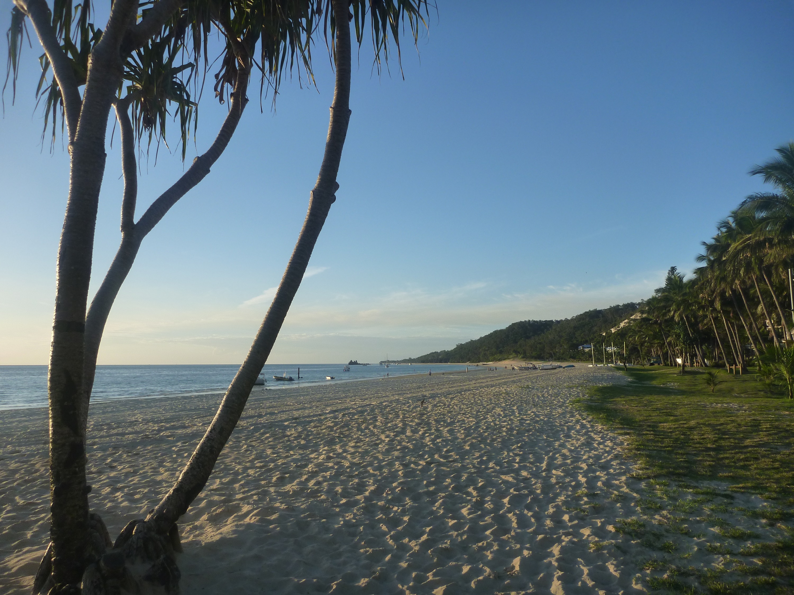 Guest Reviews 2 Pure white sand on your doorstep at Banynadah Waters Beach House Tangalooma Moreton Island
