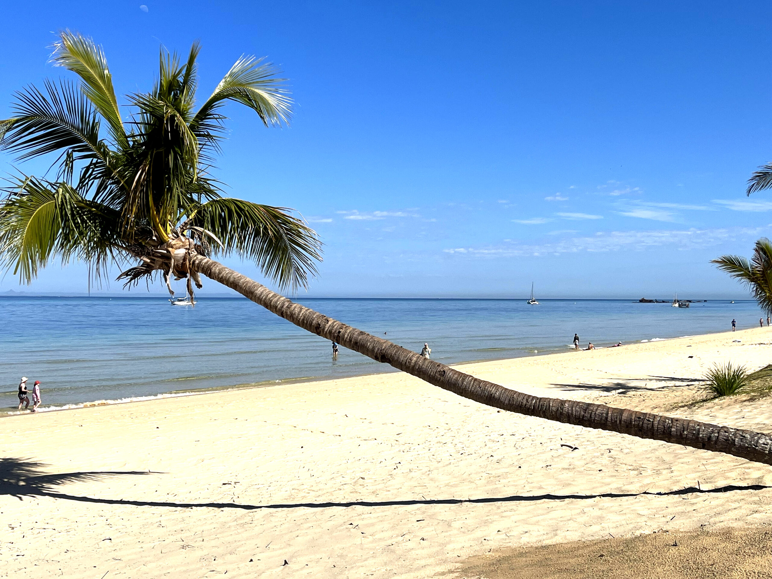 Famous Palm (Tangalooma accommodation, Moreton Island beach house holiday accommodation)